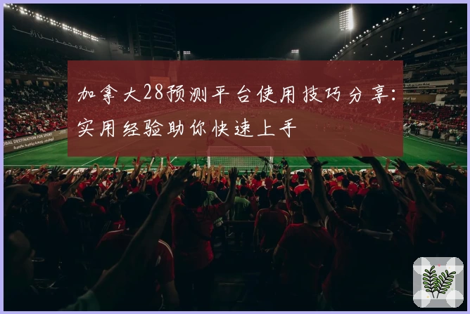 加拿大28预测平台使用技巧分享：实用经验助你快速上手