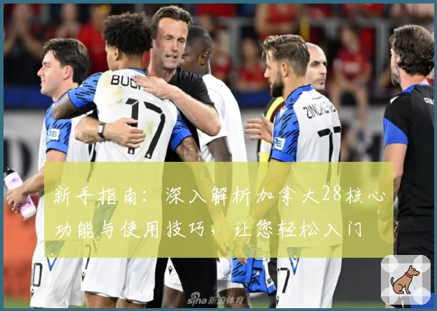 新手指南：深入解析加拿大28核心功能与使用技巧，让您轻松入门