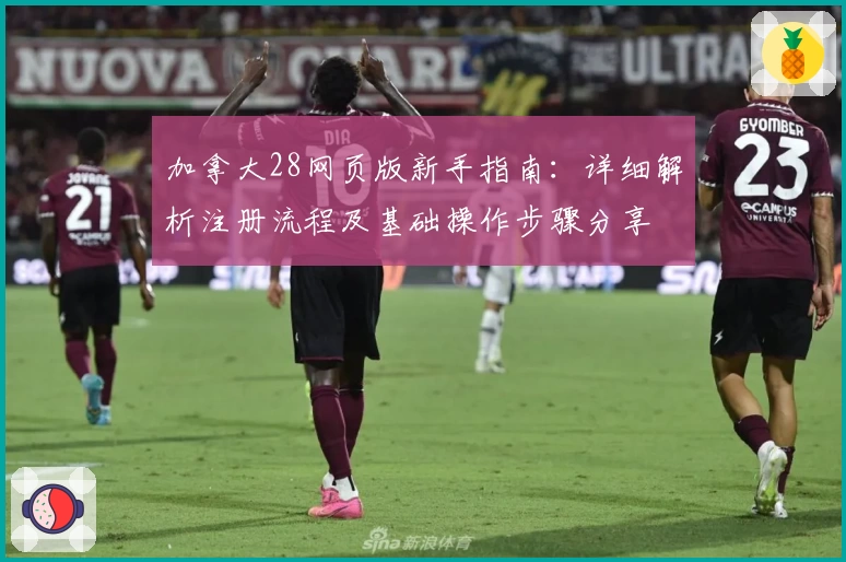 加拿大28网页版新手指南:详细解析注册流程及基础操作步骤分享
