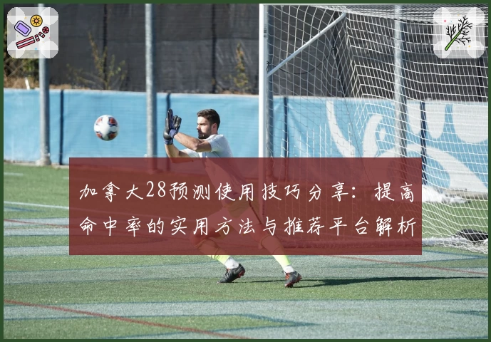加拿大28预测使用技巧分享：提高命中率的实用方法与推荐平台解析