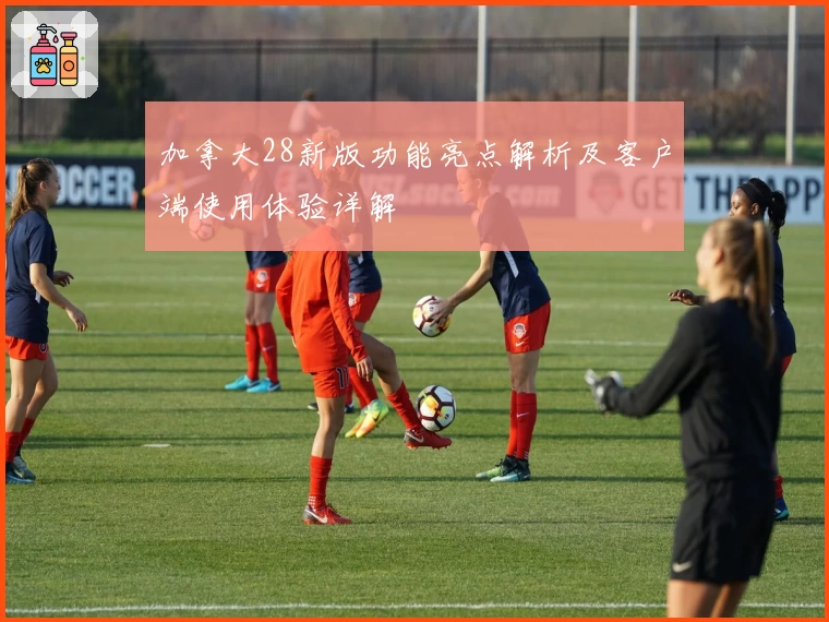 加拿大28新版功能亮点解析及客户端使用体验详解