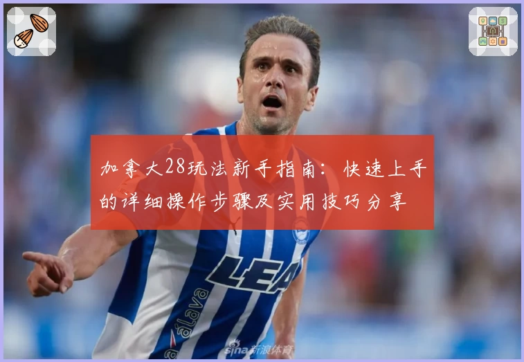 加拿大28玩法新手指南:快速上手的详细操作步骤及实用技巧分享
