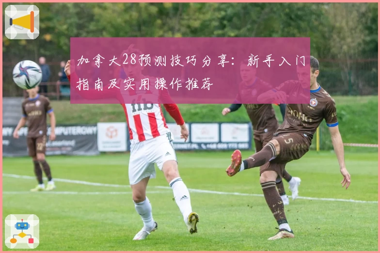 加拿大28预测技巧分享：新手入门指南及实用操作推荐