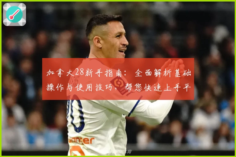 加拿大28新手指南：全面解析基础操作与使用技巧，帮您快速上手平台体验