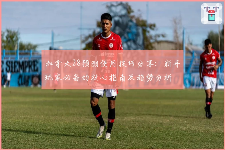 加拿大28预测使用技巧分享：新手玩家必备的核心指南及趋势分析