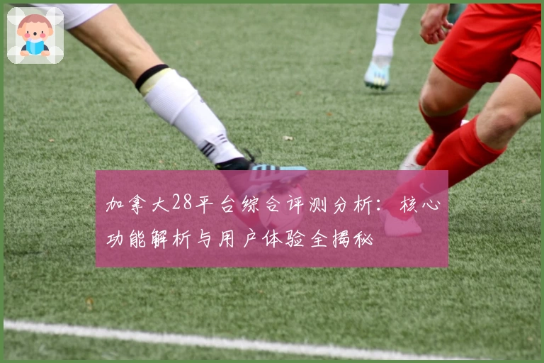 加拿大28平台综合评测分析：核心功能解析与用户体验全揭秘