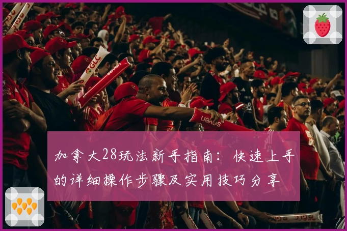 加拿大28玩法新手指南：快速上手的详细操作步骤及实用技巧分享