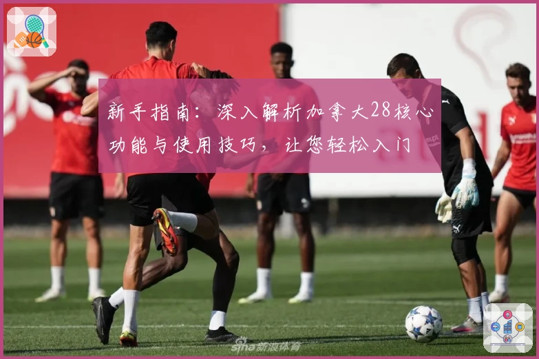 新手指南：深入解析加拿大28核心功能与使用技巧，让您轻松入门